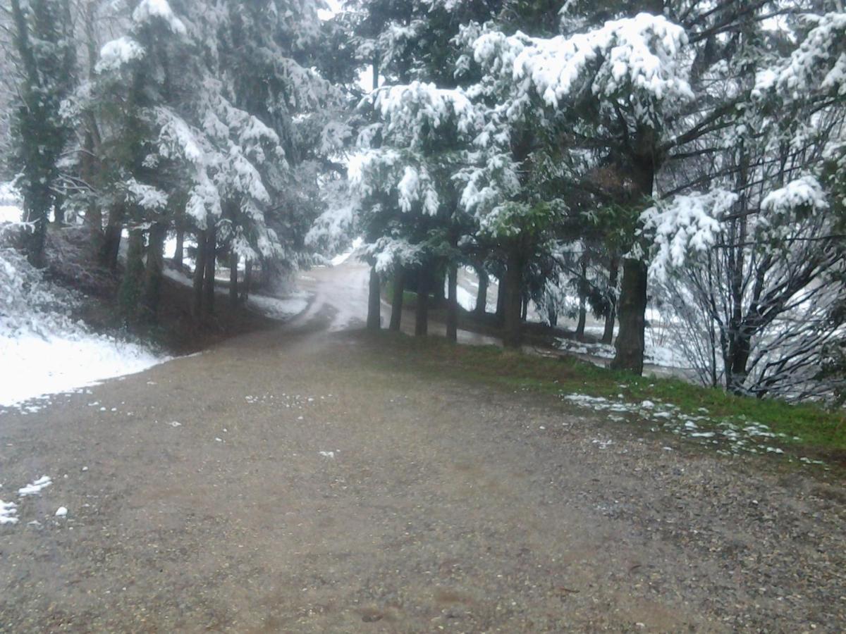Gite De Prejeurin Echalas Esterno foto