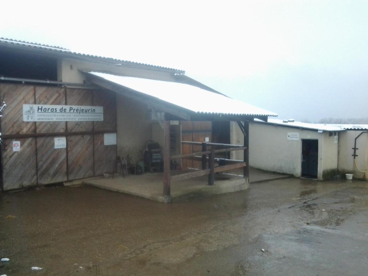 Gite De Prejeurin Echalas Esterno foto