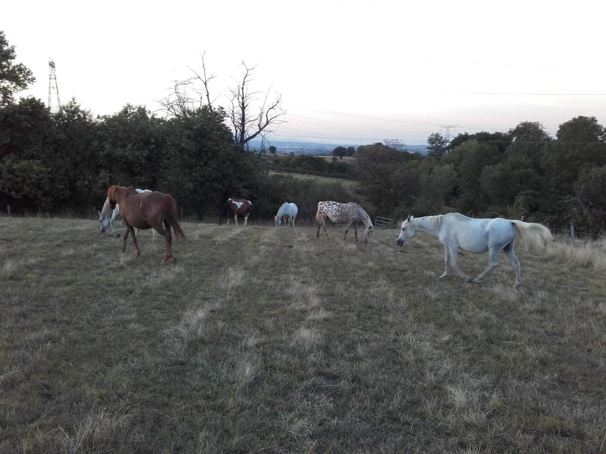 Gite De Prejeurin Echalas Esterno foto